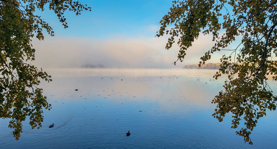 Фото жизнь