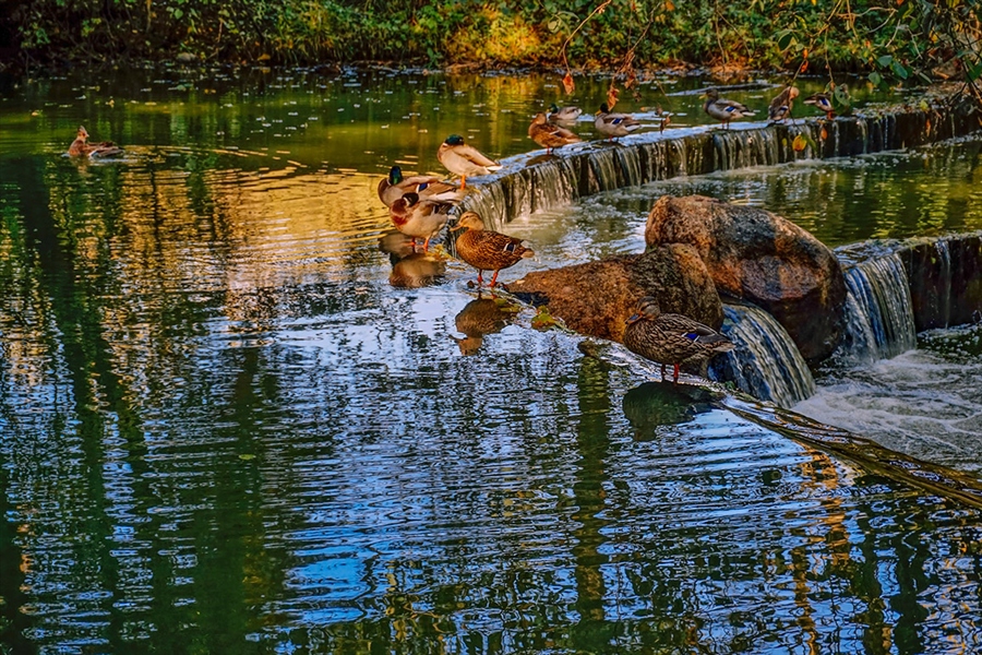 Фото жизнь