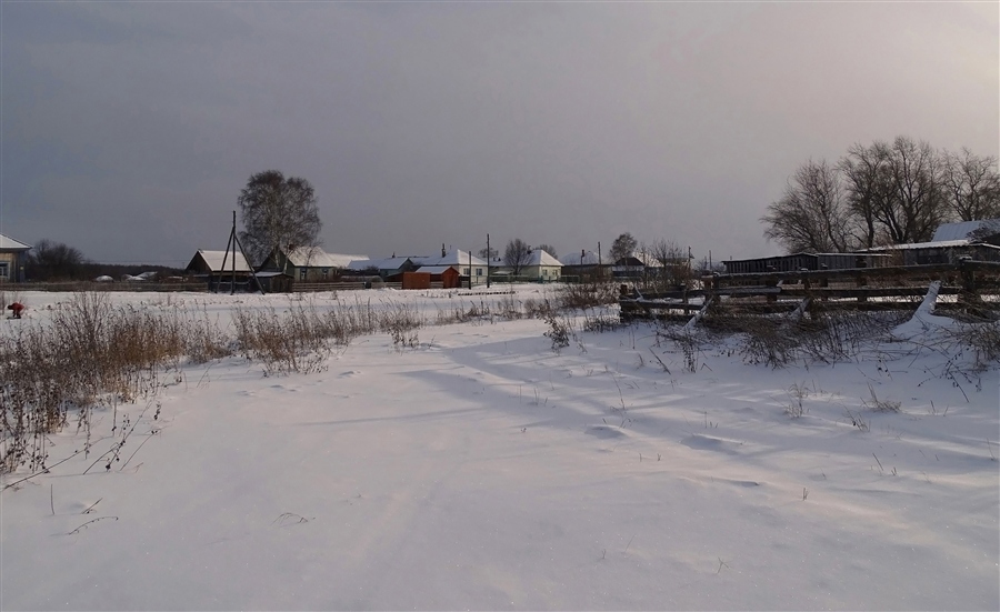 Фото жизнь
