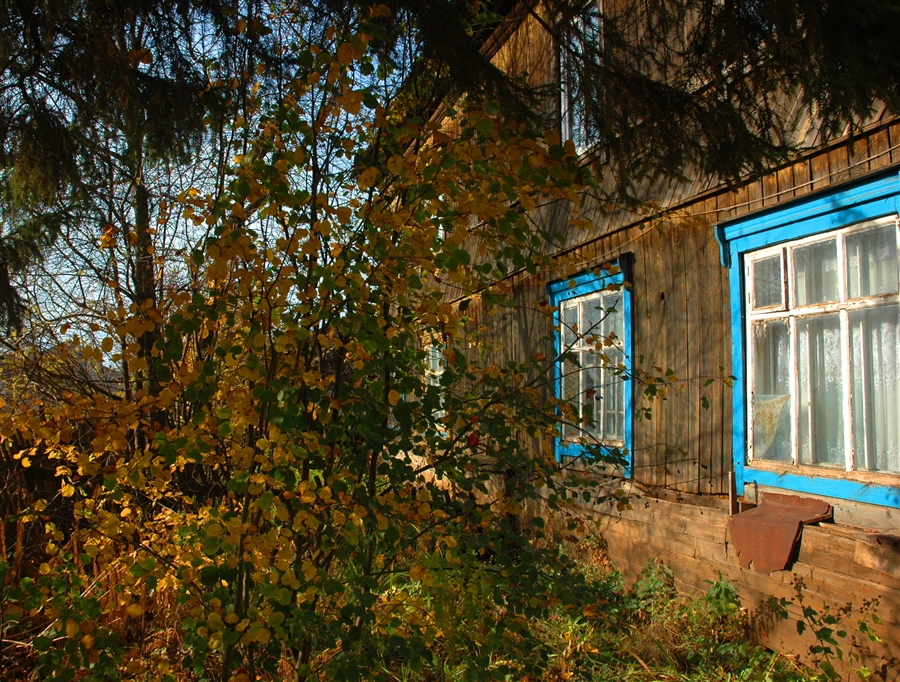 Фото жизнь