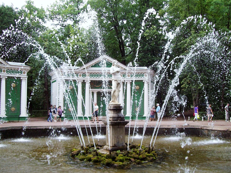Фото жизнь