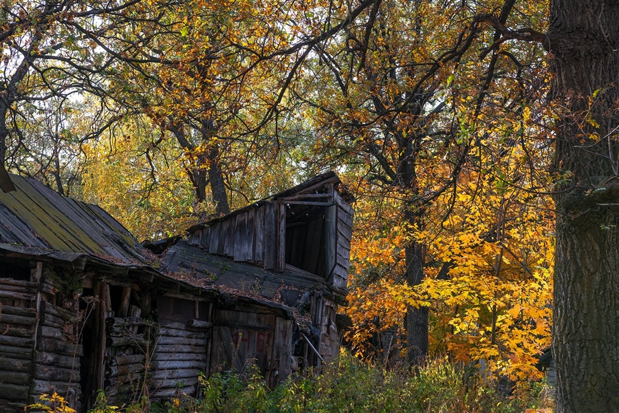 Фото жизнь