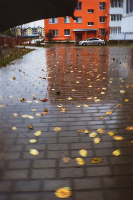 Фото жизнь