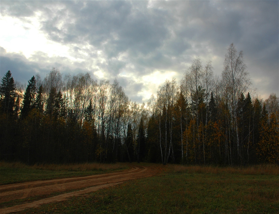 Фото жизнь