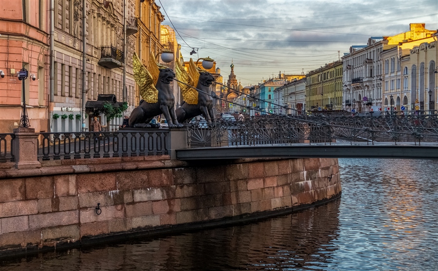 Фото жизнь