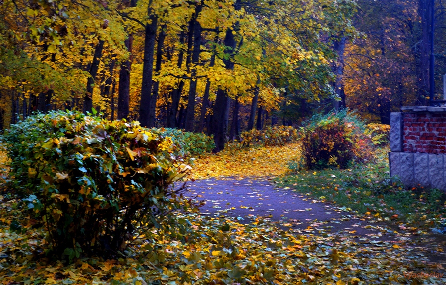 Фото жизнь