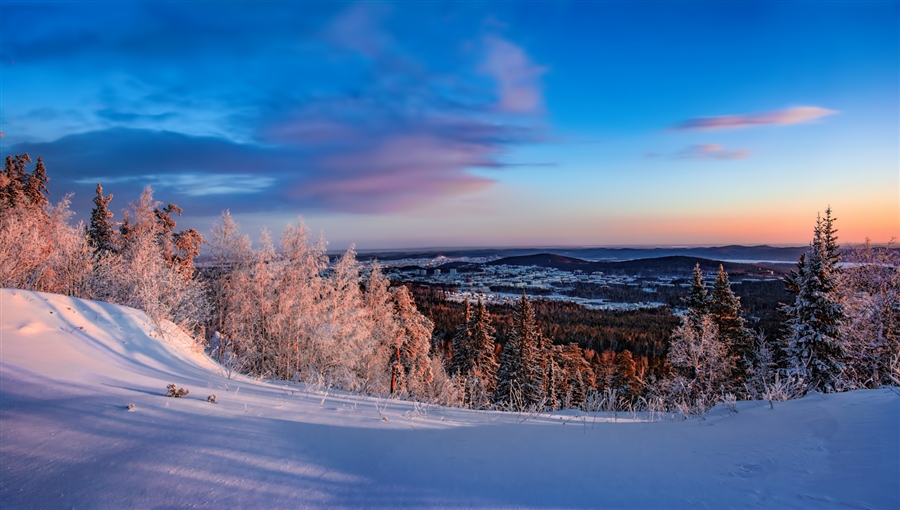 Фото жизнь