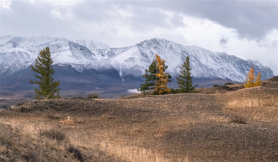 Фото жизнь