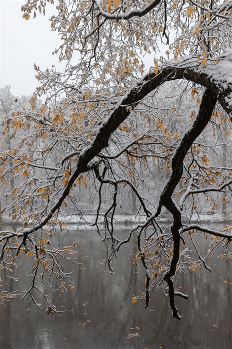 Фото жизнь