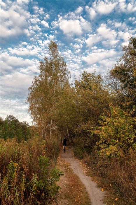 Фото жизнь