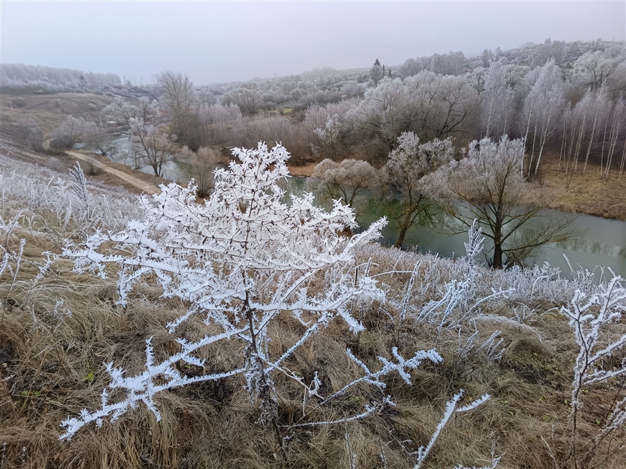 Фото жизнь