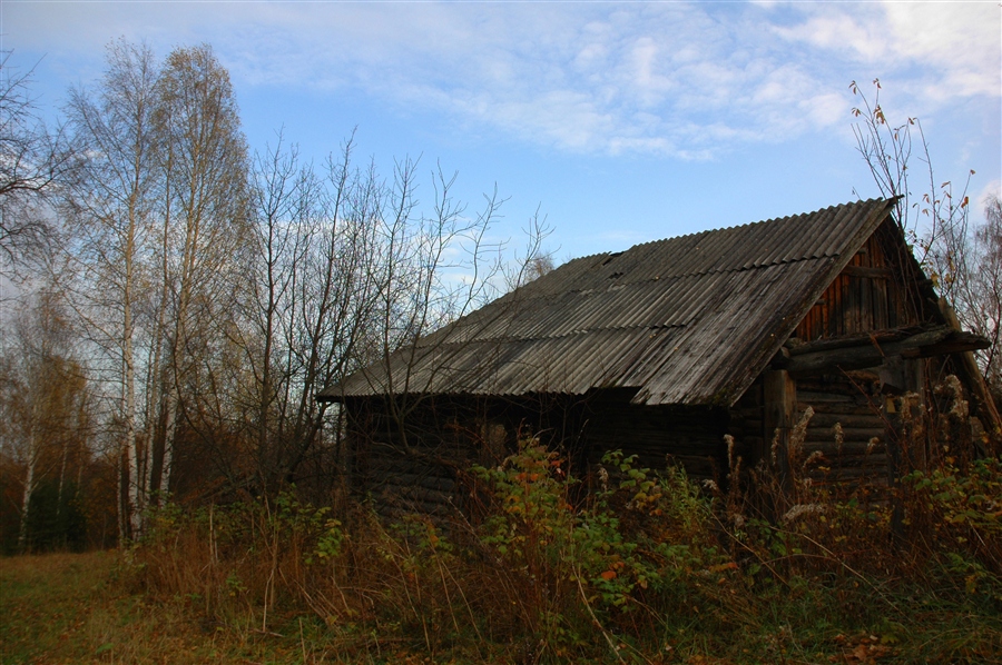 Фото жизнь