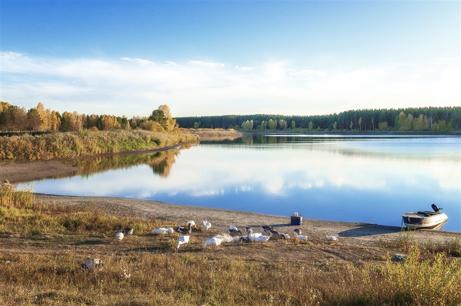 Фото жизнь