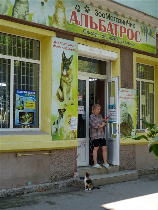 Фото жизнь