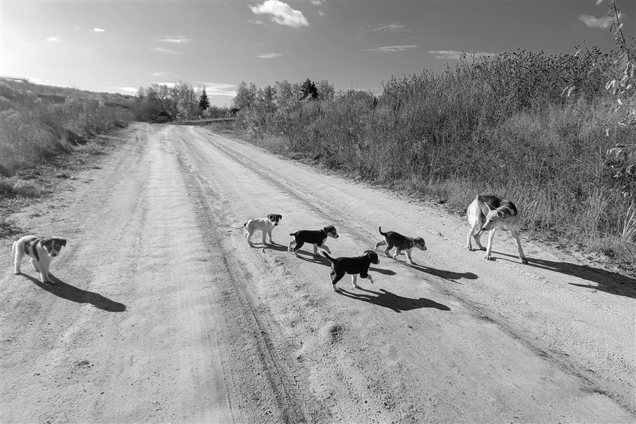 Фото жизнь