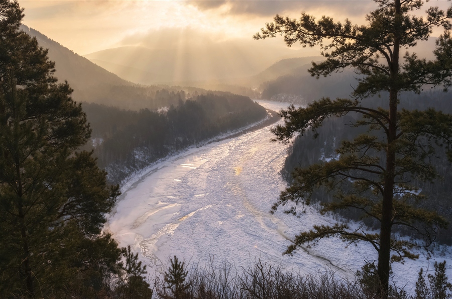 Фото жизнь