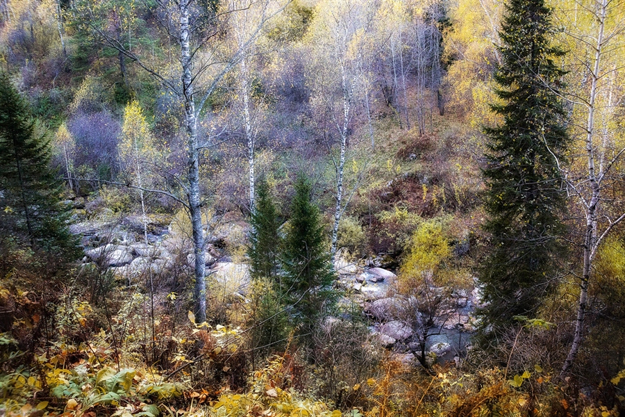Фото жизнь
