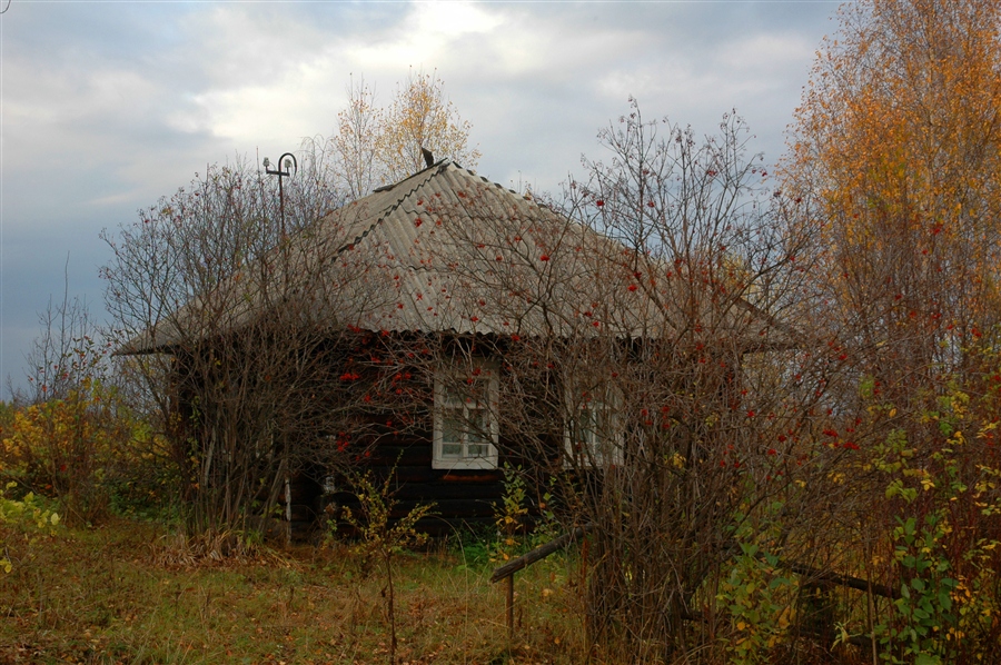Фото жизнь