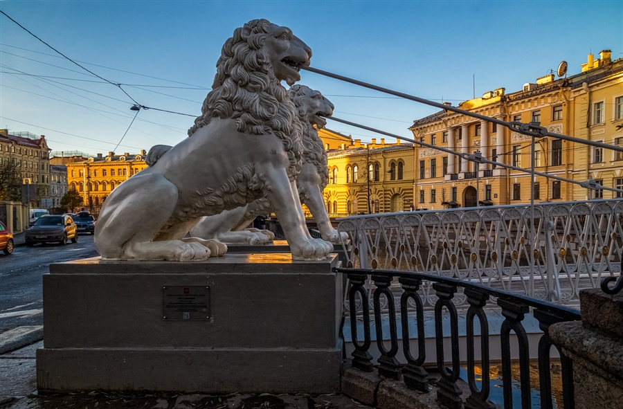 Фото жизнь
