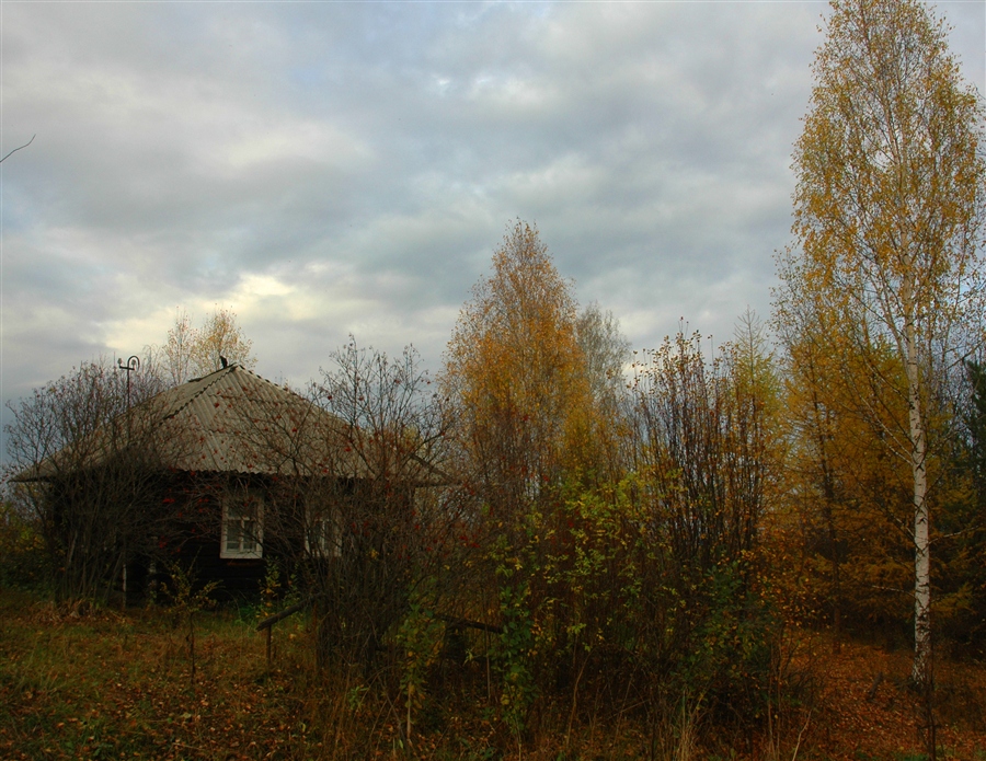 Фото жизнь