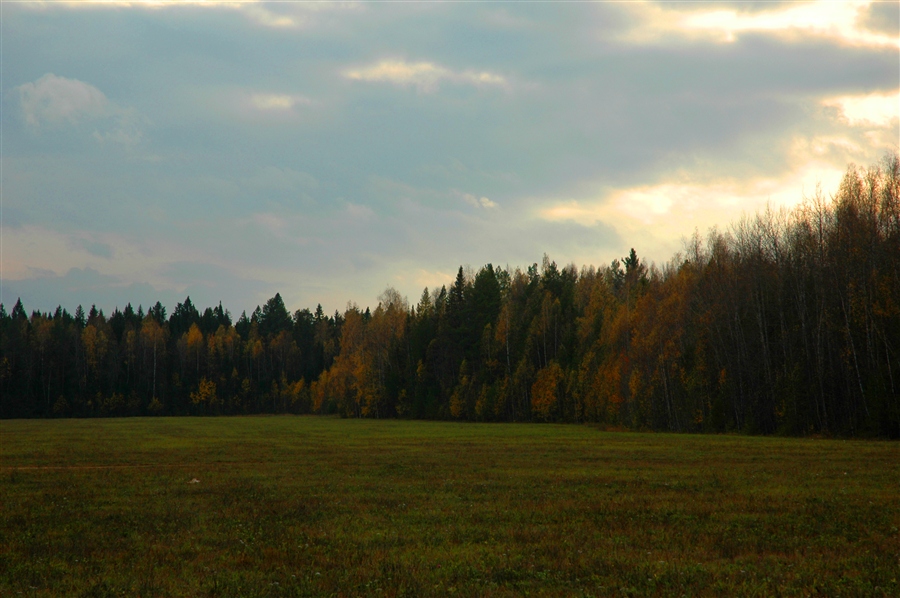 Фото жизнь