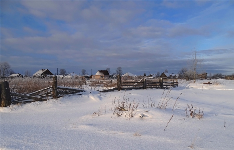 Фото жизнь