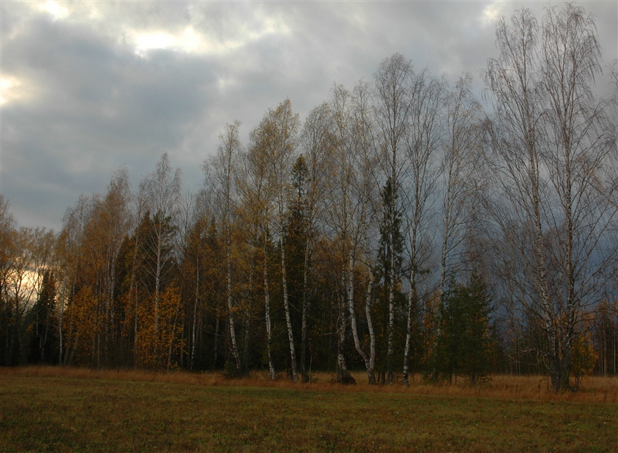Фото жизнь
