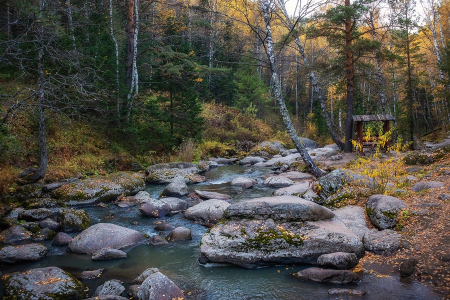 Фото жизнь