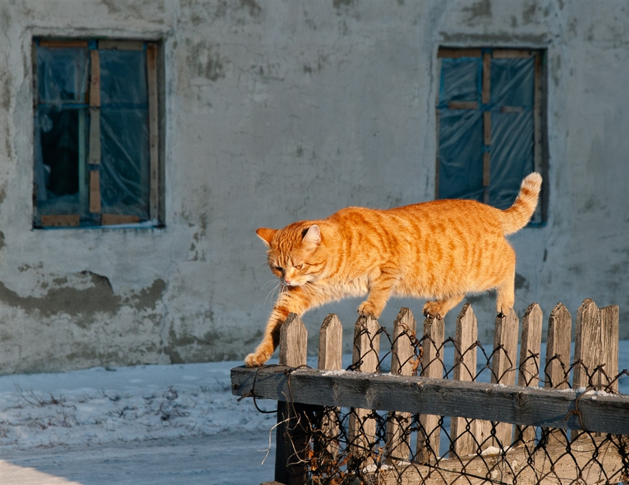 Фото жизнь