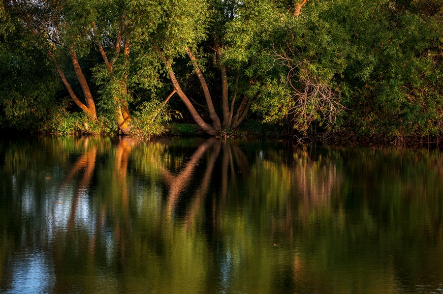Фото жизнь
