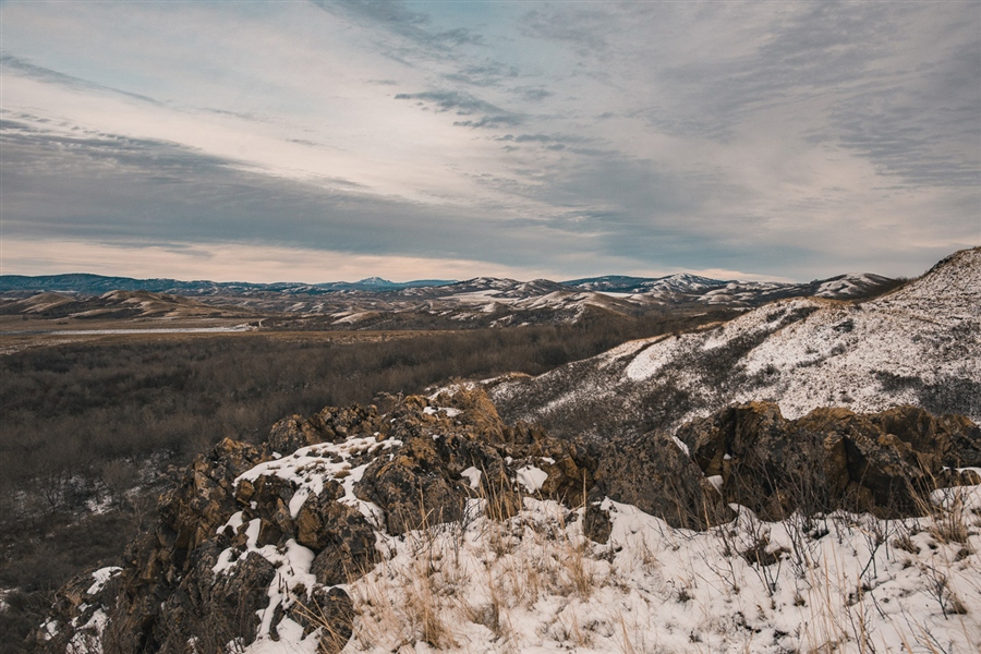 Фото жизнь