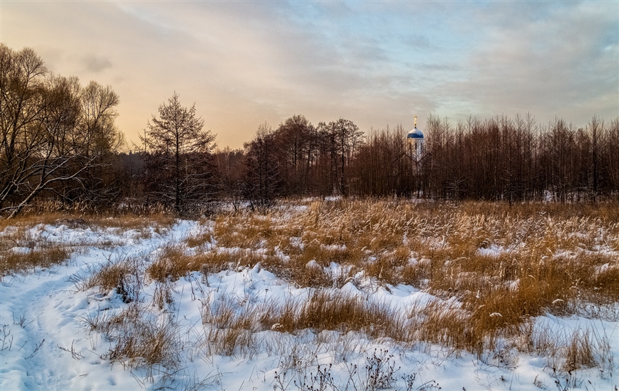 Фото жизнь