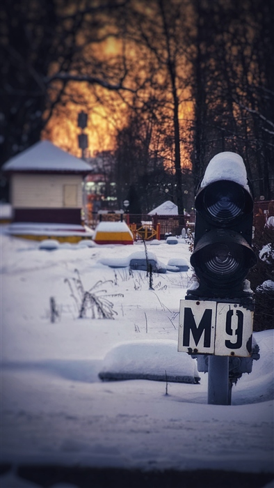 Фото жизнь