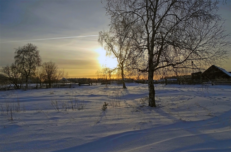 Фото жизнь