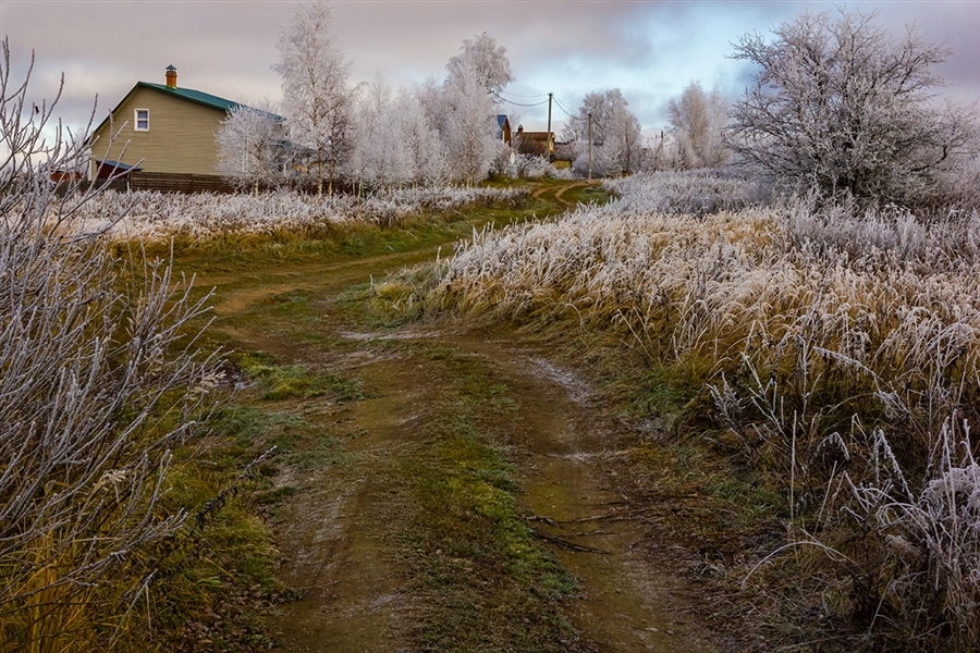 Фото жизнь