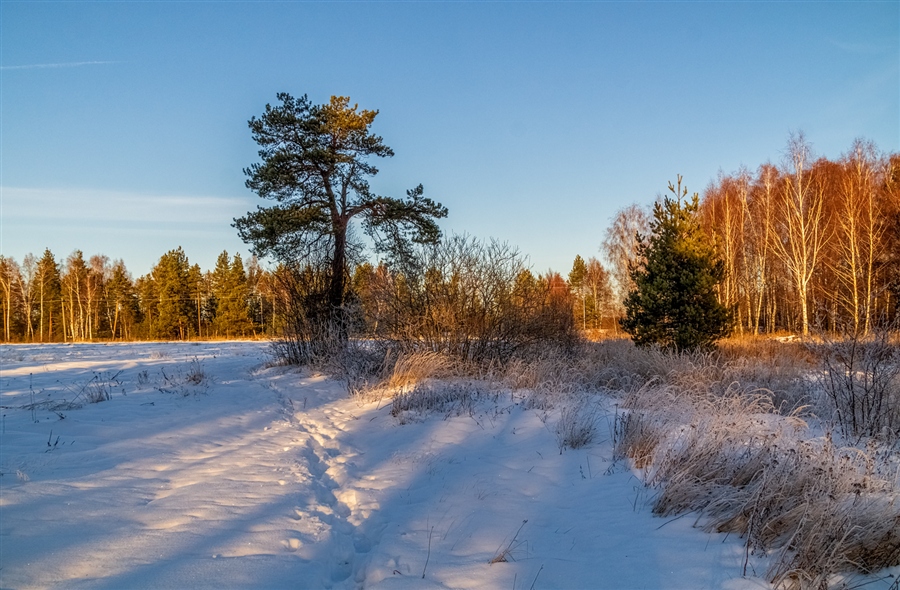 Фото жизнь