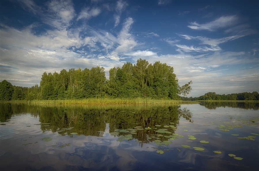 Фото жизнь