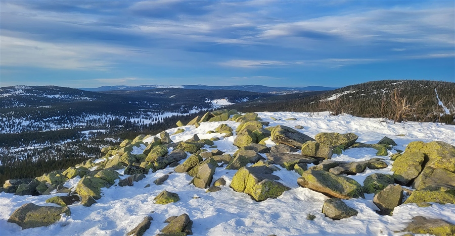 Фото жизнь