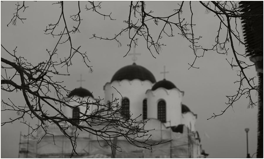 Фото жизнь