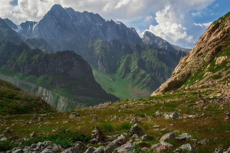 Фото жизнь