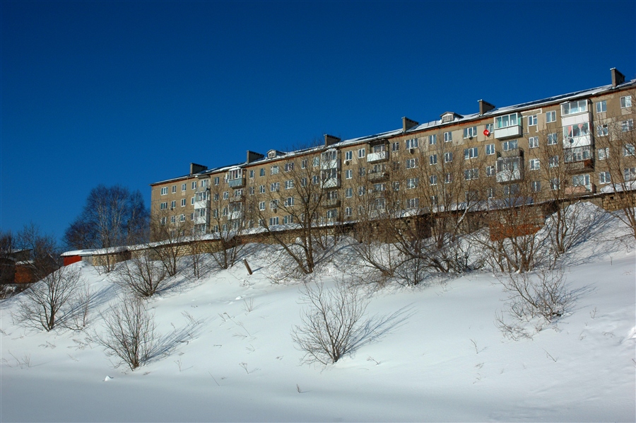 Фото жизнь