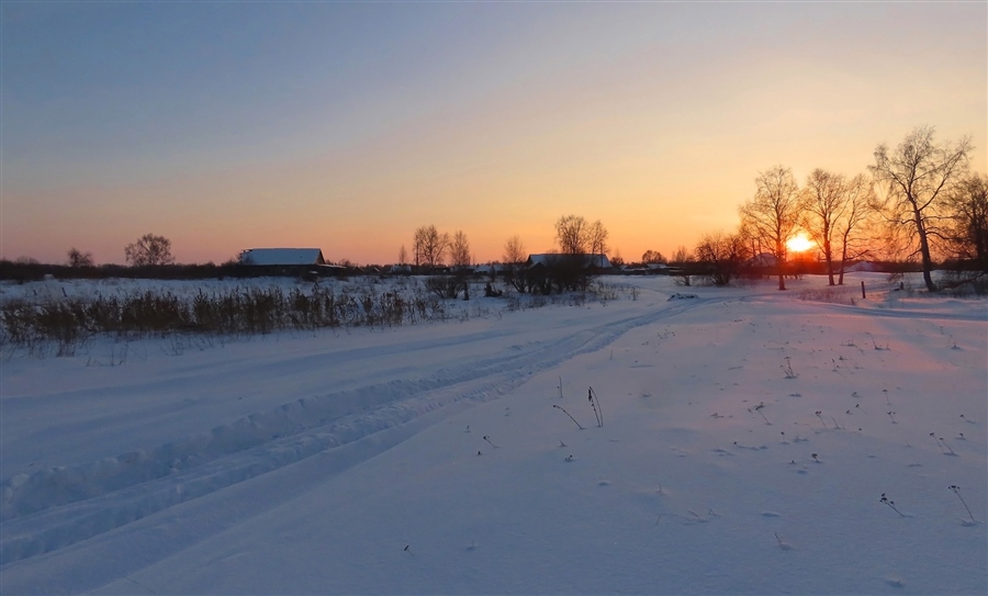 Фото жизнь
