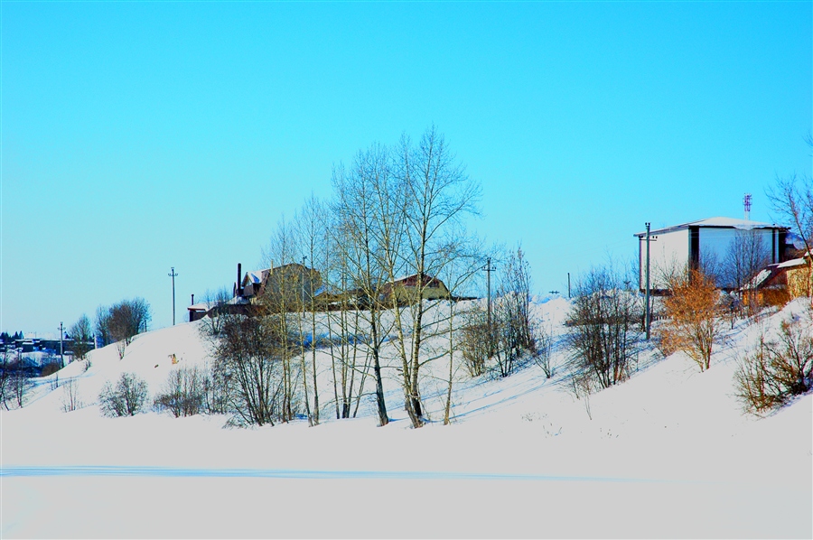 Фото жизнь
