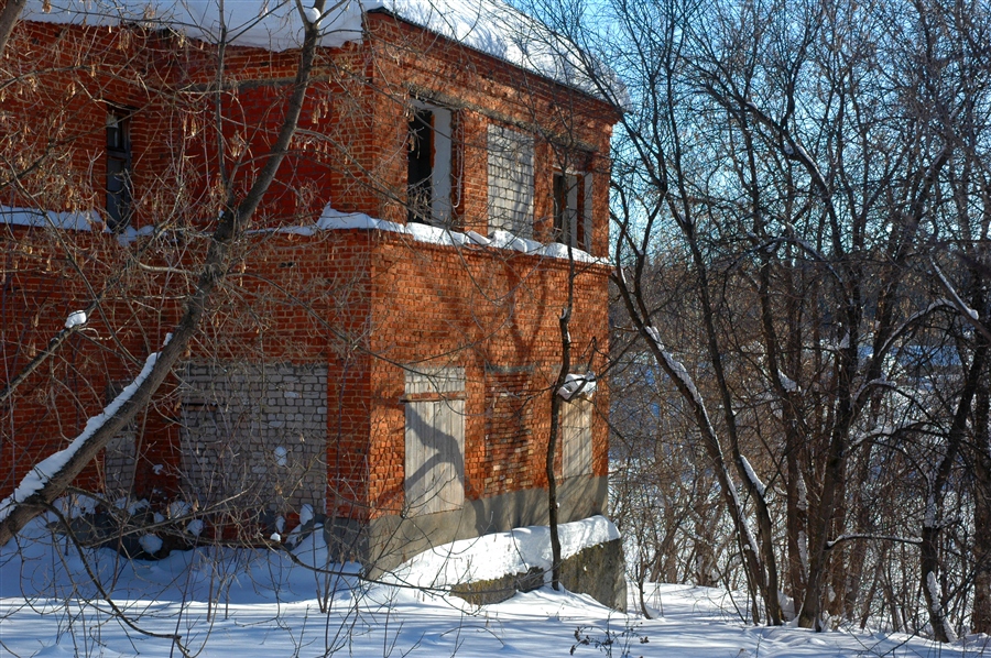Фото жизнь