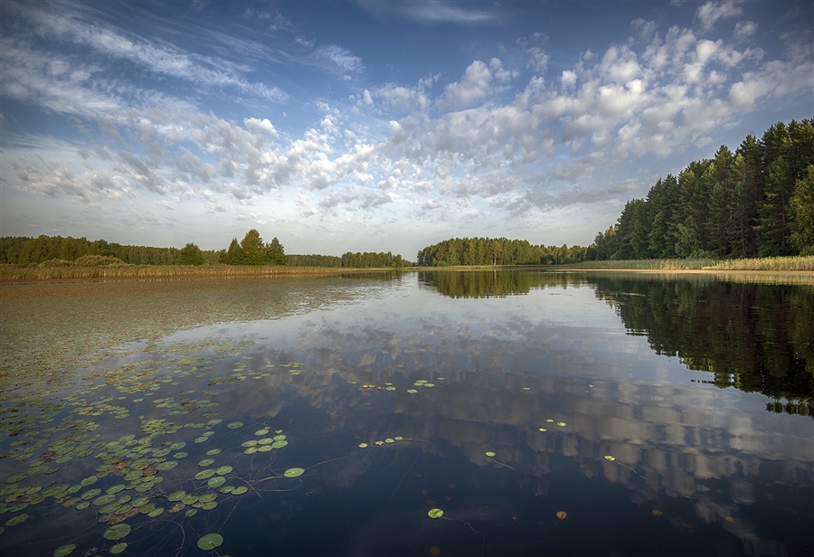 Фото жизнь
