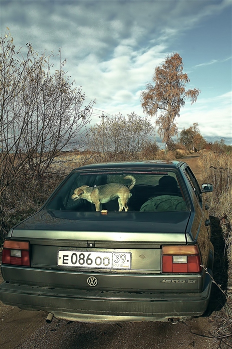 Фото жизнь