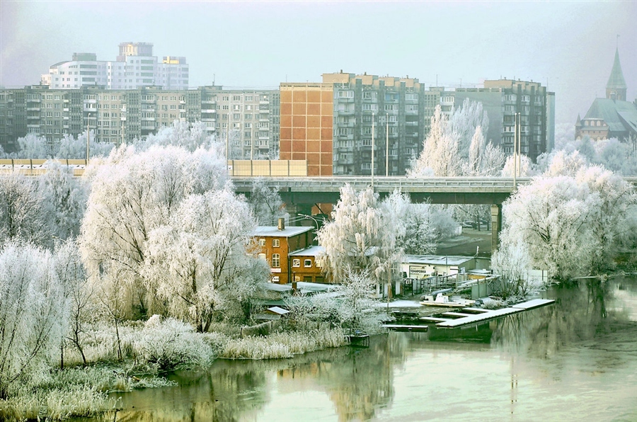 Фото жизнь