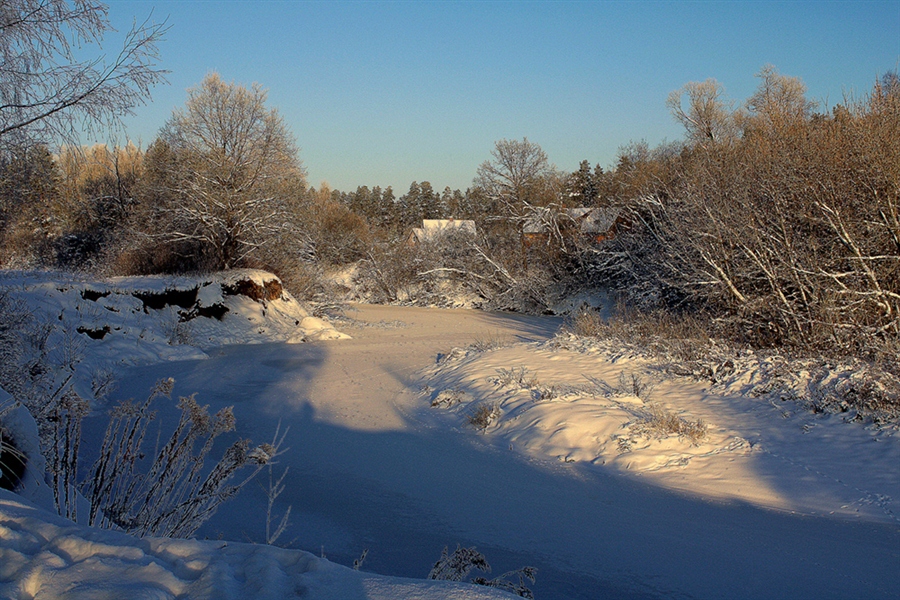 Фото жизнь