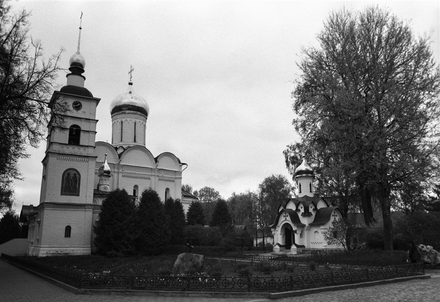 Фото жизнь