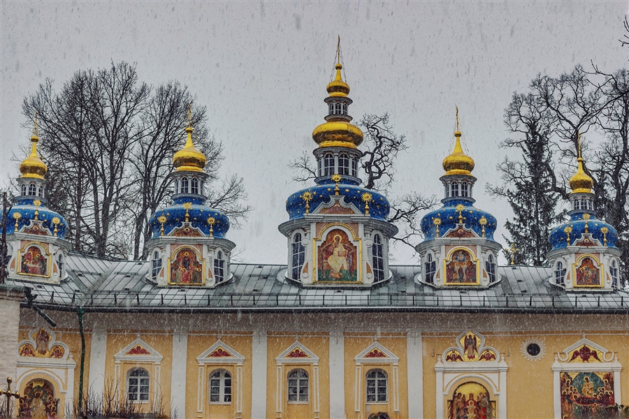 Фото жизнь